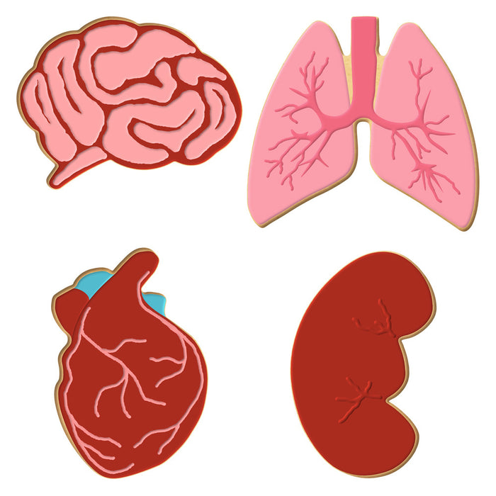 Anatomical Body Parts Cookie Cutter 4 Pc Set, HS0403