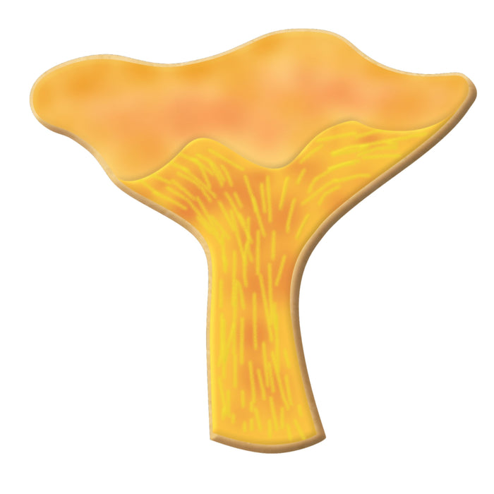 Chanterelle Mushroom Cookie Cutter 3.25"  B0999