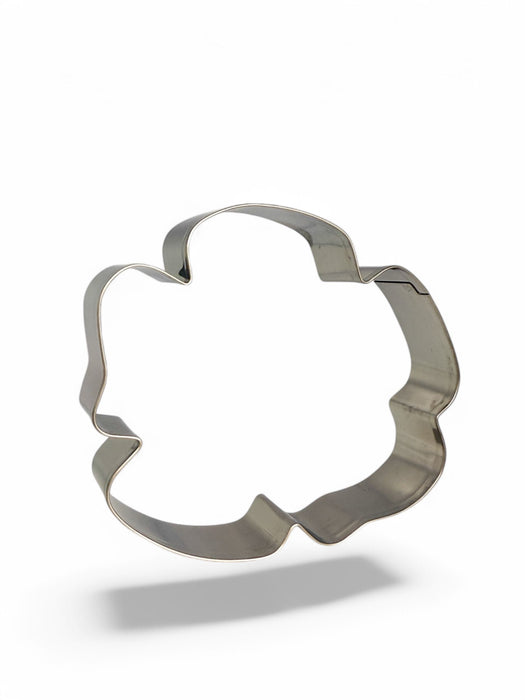 Sand Dollar 4 in B1761