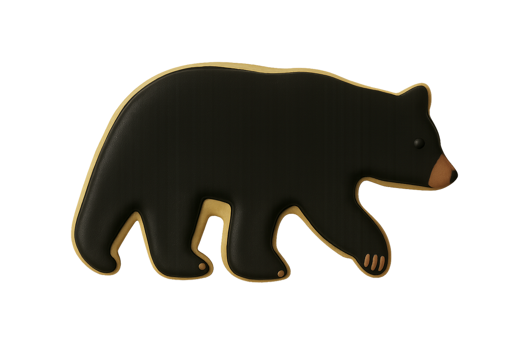 Black Bear 4 in B1764