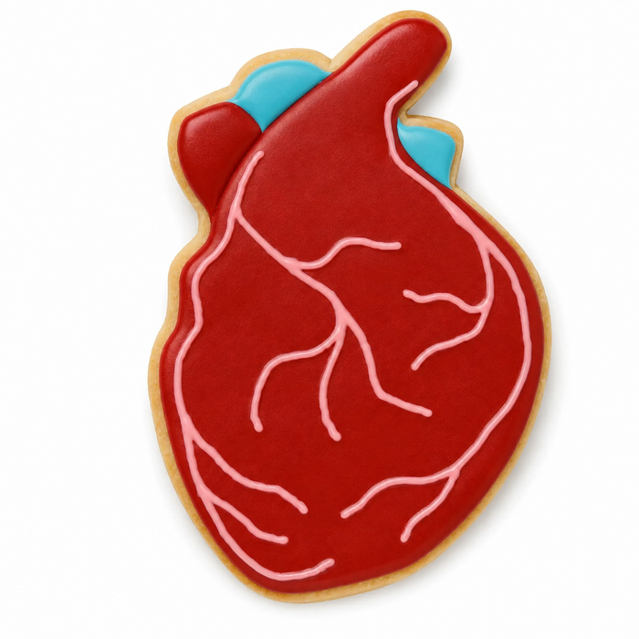 Anatomical Heart Cookie Cutter 4" B2065