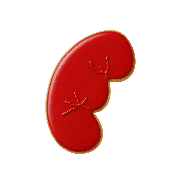 Anatomical Kidney Cookie Cutter 4" B2063