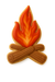 rustic fire baking tool